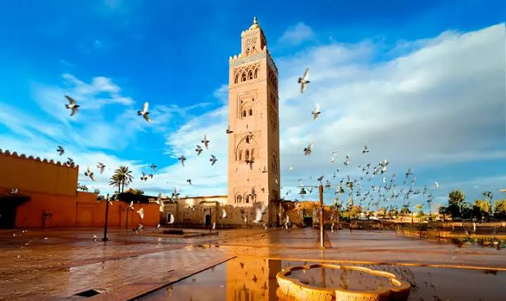 Marrakech Back