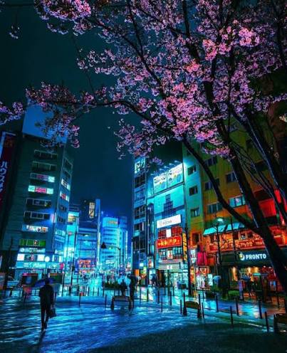 Tokyo Neon Street